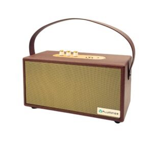 Fluminer L2 1Gh/s 230W Dogecoin Litecoin Miner