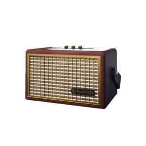 Fluminer L2 DOGE Miner